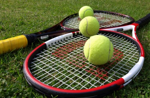 Стратегия ставок на теннис. Различия между ставками на мужской и женский разряд